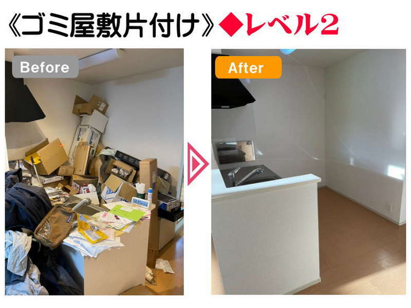 ふじみ野市 2LDK ゴミ屋敷片付け事例